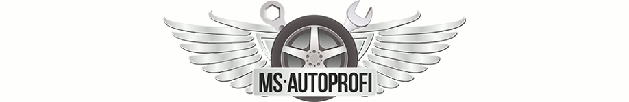 MS-AUTOPROF